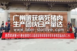 广州破获病死猪肉生产团伙日产量达数千斤‘BBIN篮球’(图4) BBIN体育
