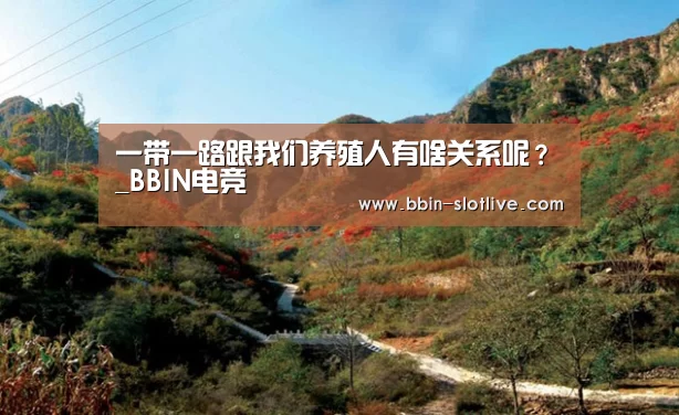 一带一路跟我们养殖人有啥关系呢?_BBIN电竞(图2) BBIN足球
