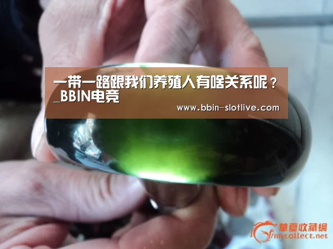 一带一路跟我们养殖人有啥关系呢?_BBIN电竞(图4) BBIN足球