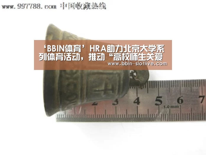 ‘BBIN体育’HRA助力北京大学系列体育活动,推动“高校师生关爱计划”(图2) BBIN足球